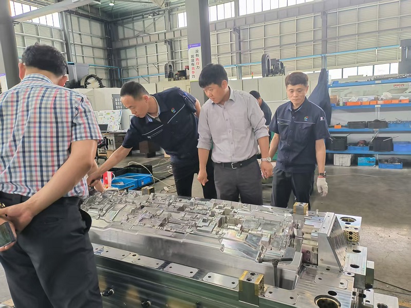 Стремежот за извонредност заработува пофалби: Клиентот високо го признава прифаќањето на мувлата за IP